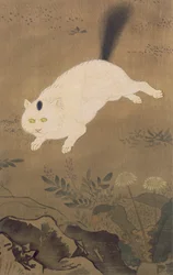 Eine weiße Katze, Illustration aus der Zeitschrift The Kokka, veröffentlicht in Japan, 1896-7